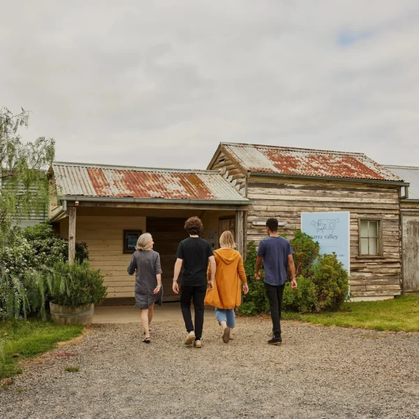 winery tours yarra valley