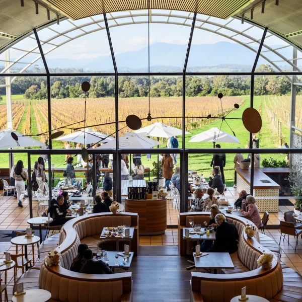 yarra valley day tours melbourne