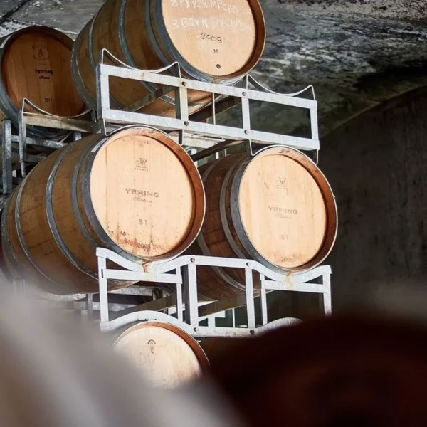 yarra valley private bus tours