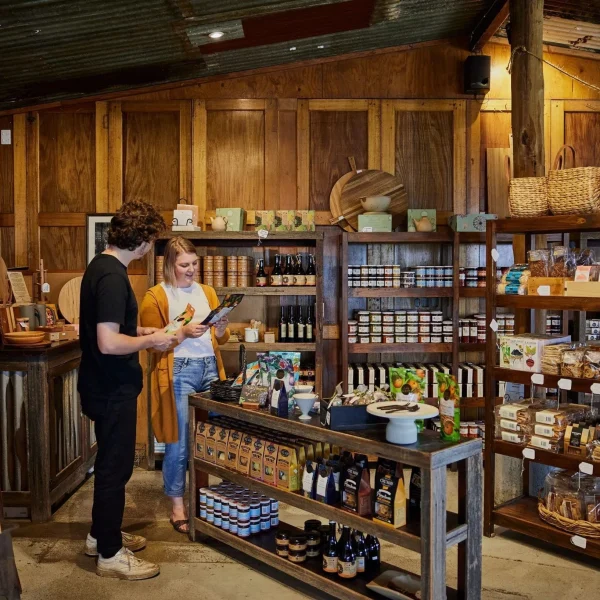 yarra valley private tours