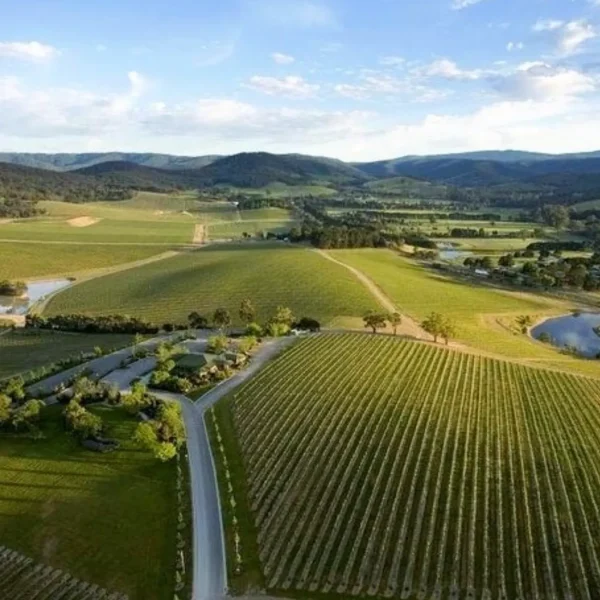 yarra valley private wine tours