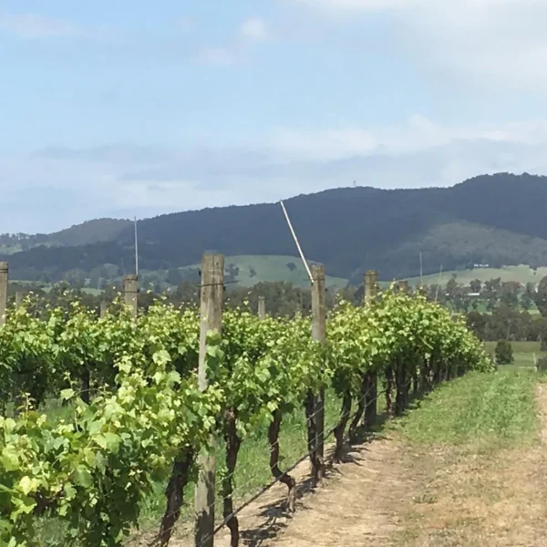 yarra valley tour melbourne