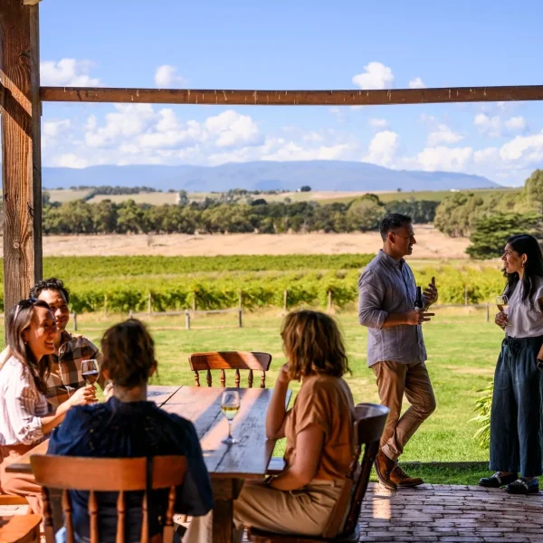 yarra valley wine and winery tour