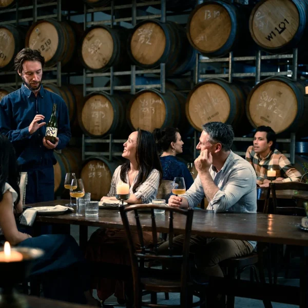 yarra valley wine tour from melbourne