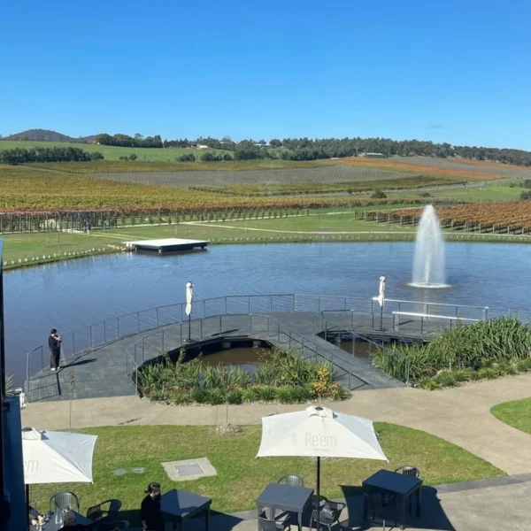 yarra valley wine tour melbourne