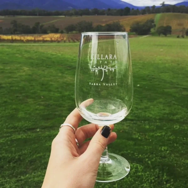 yarra valley wineries tour from melbourne