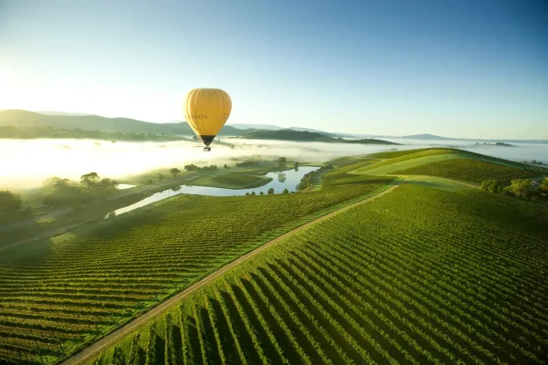 yarra valley wineries tour
