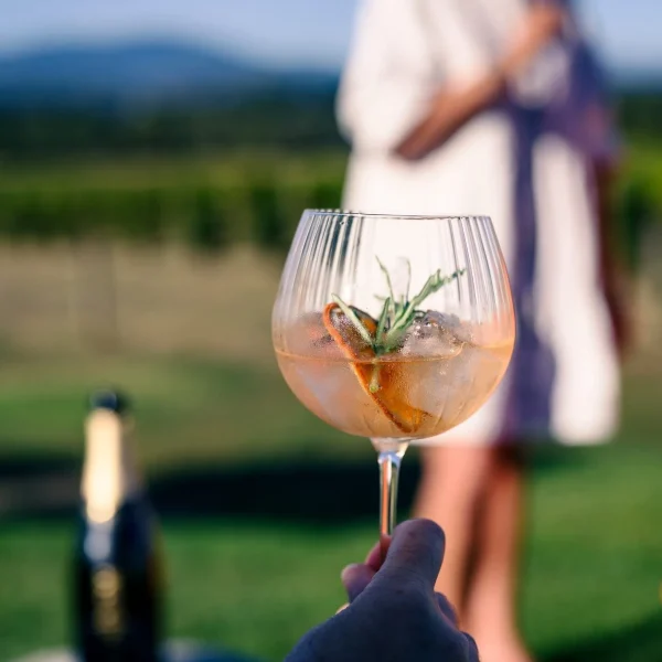 yarra valley winery tour