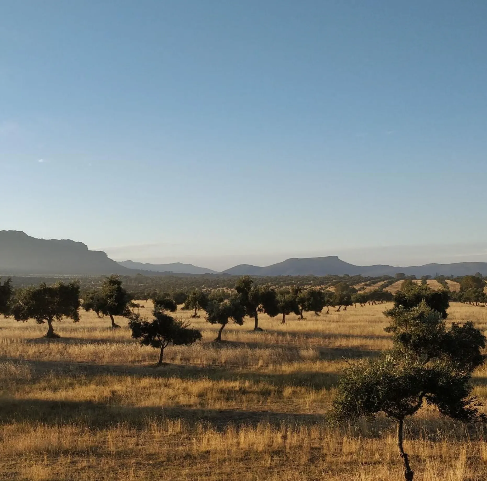 farm in the Grampians