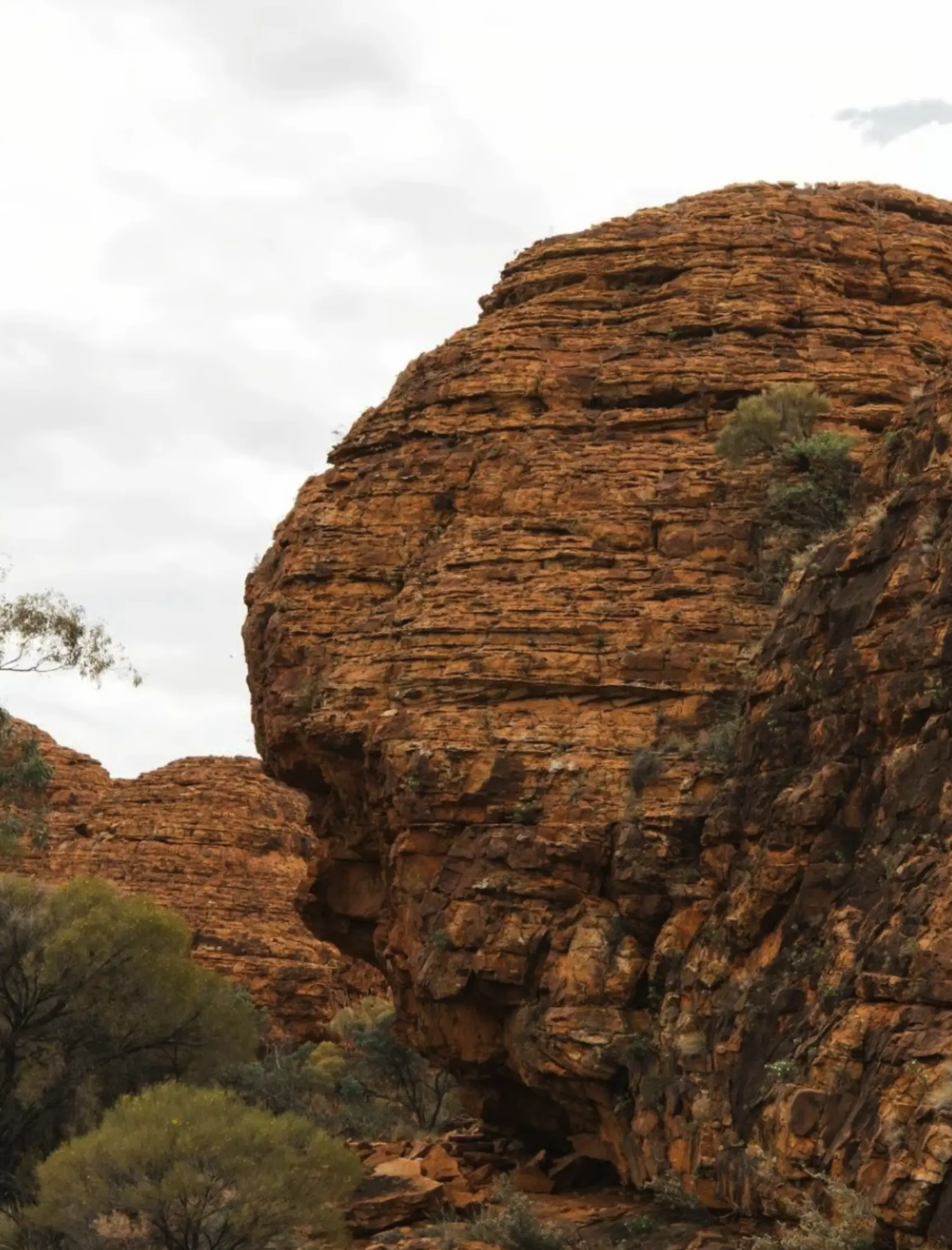 fun facts about uluru