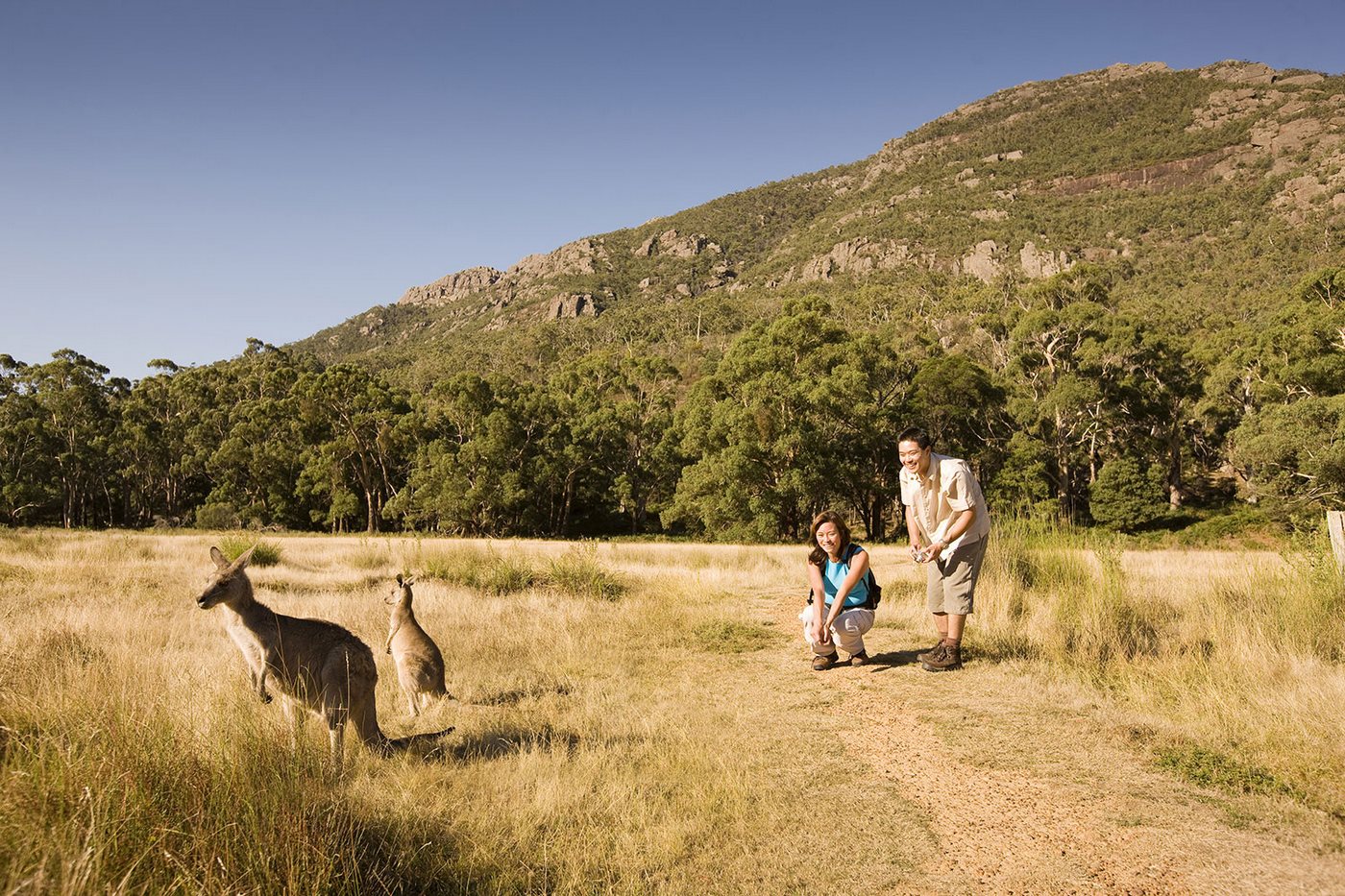 grampians one day tour
