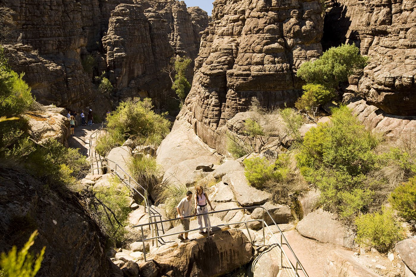 grampians tours