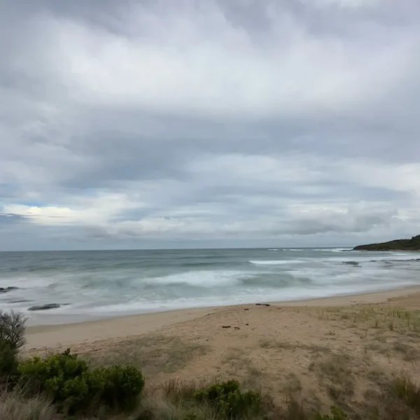 great ocean road reverse itinerary boutique tours