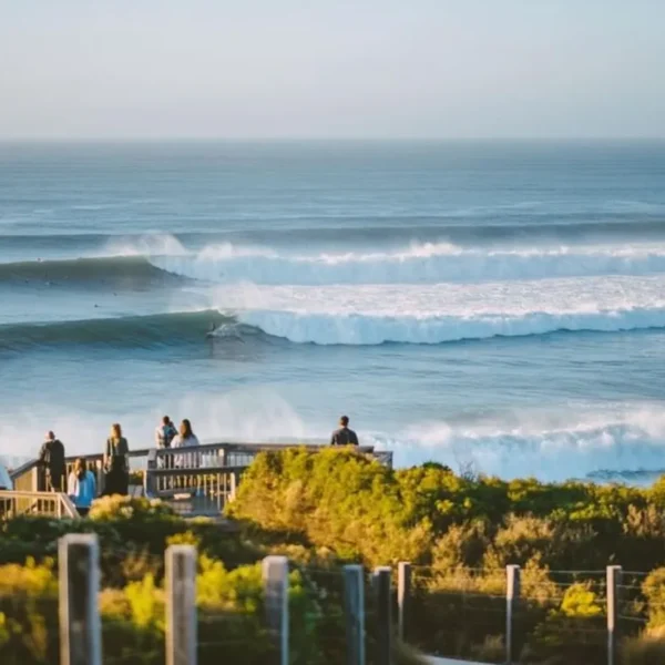 great ocean road reverse itinerary boutique trips