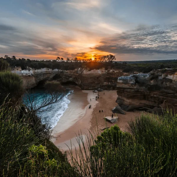 great ocean road reverse tour