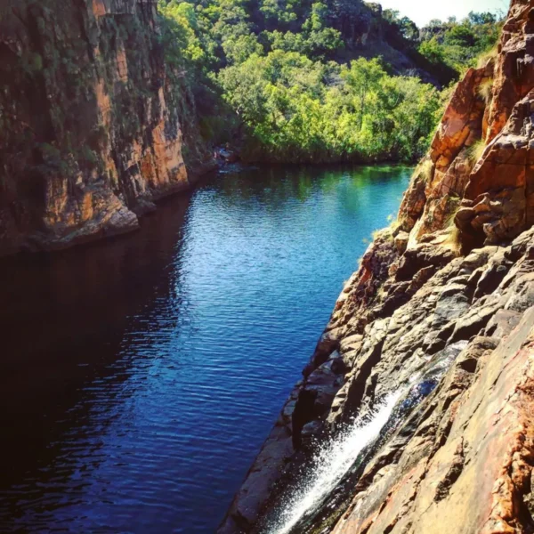 kakadu national park day tour