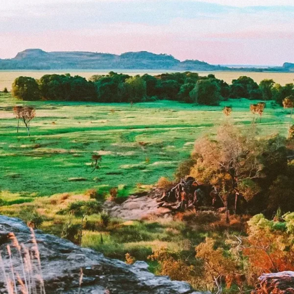 kakadu national park day trip