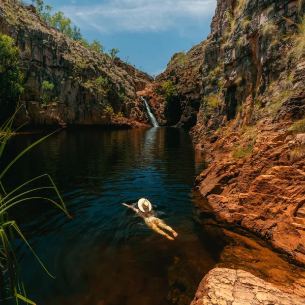 kakadu tours from darwin 1 day