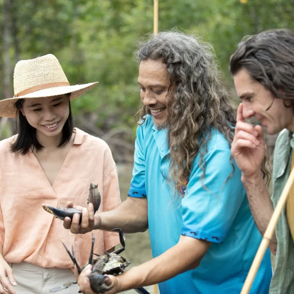 kuku yalanji cultural rainforest tour