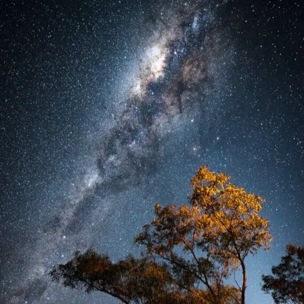 larapinta tours