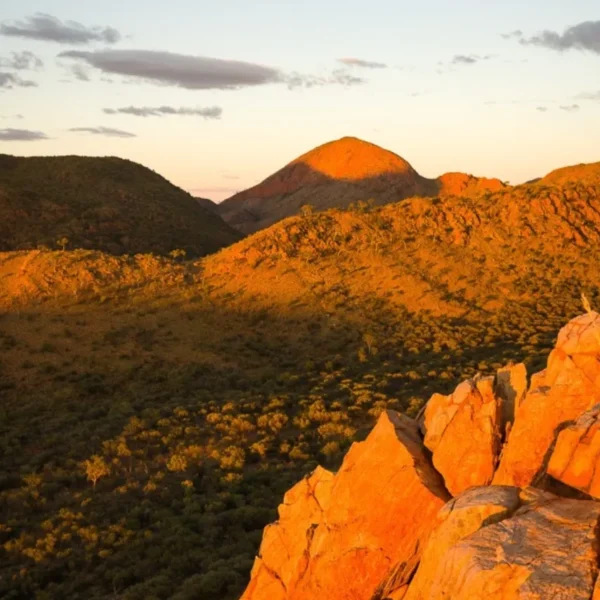 larapinta trail tour
