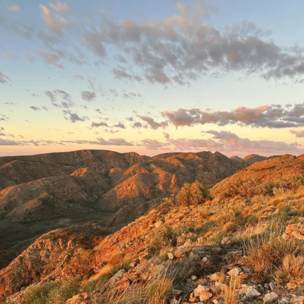 larapinta trek tour