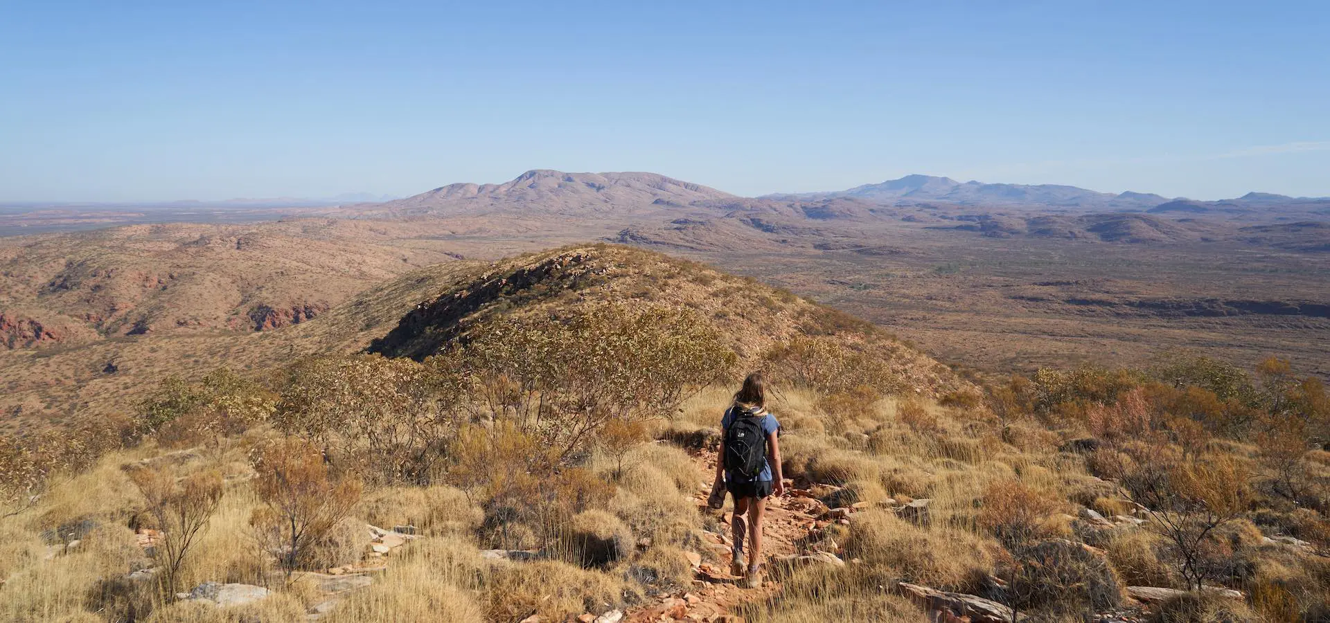 larapinta