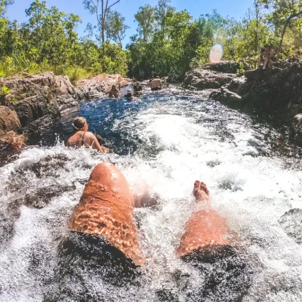 litchfield park tours