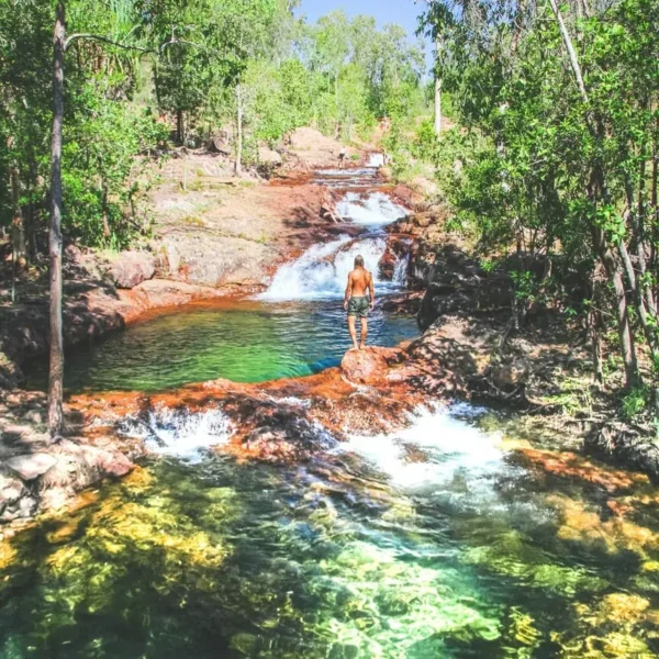 litchfield tours darwin