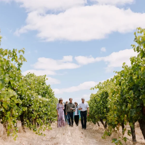 margaret river discovery tours