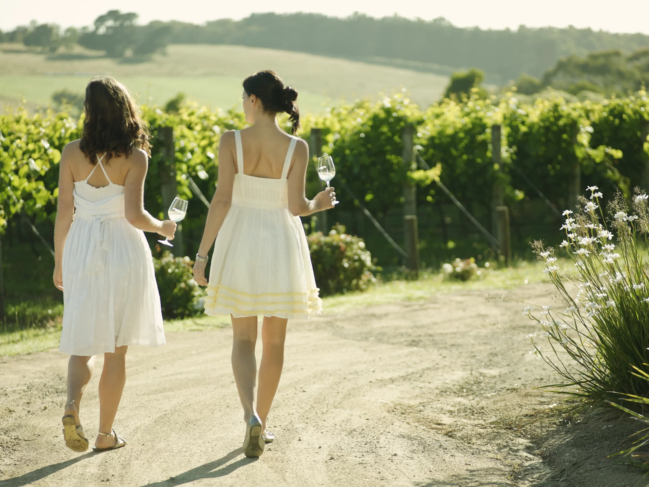 wineries great ocean road