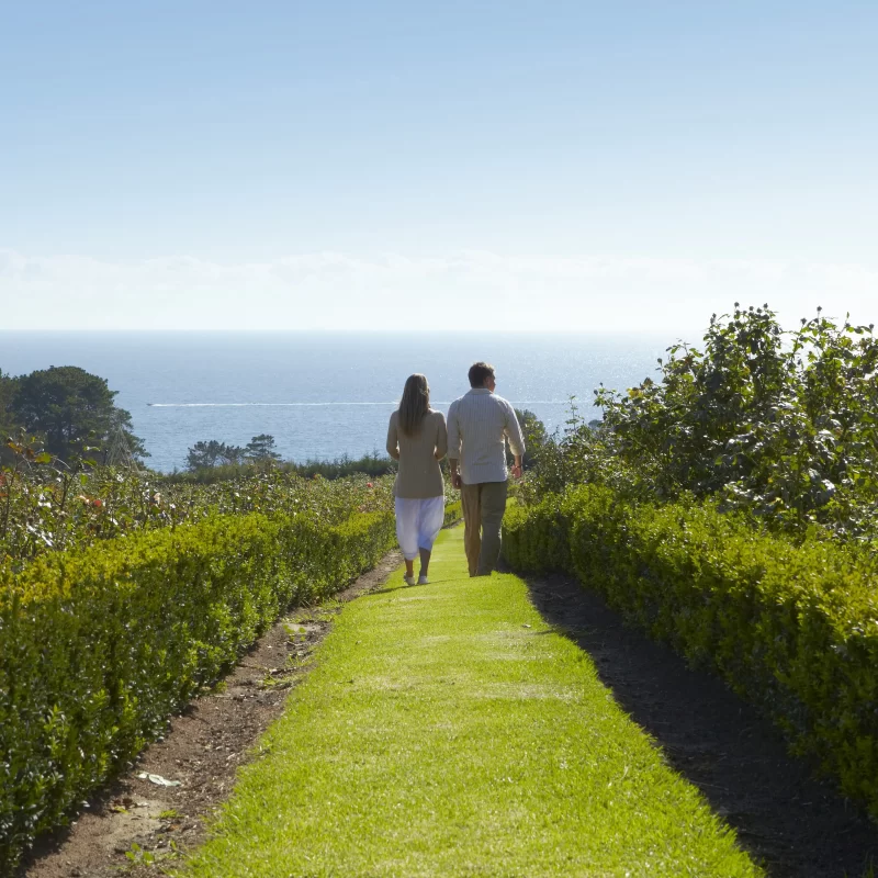 mornington peninsula winery tours and transport