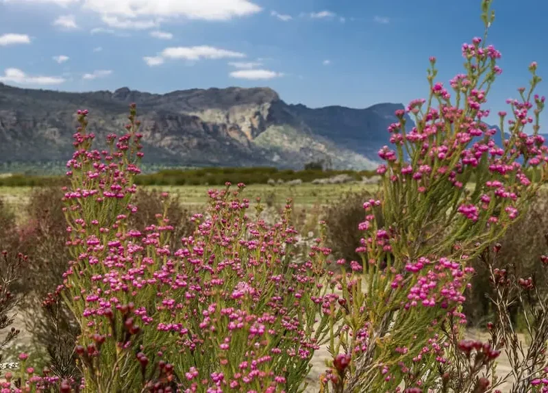 national parks grampians