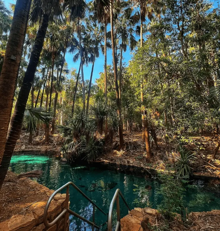 northern territory travel restrictions