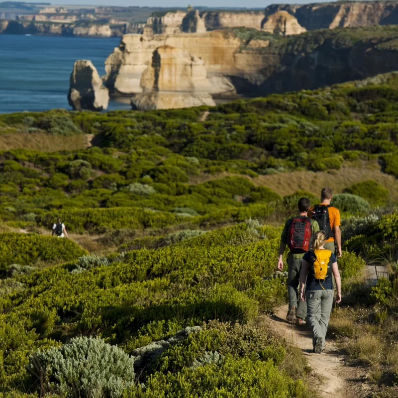 great otway national park things to do