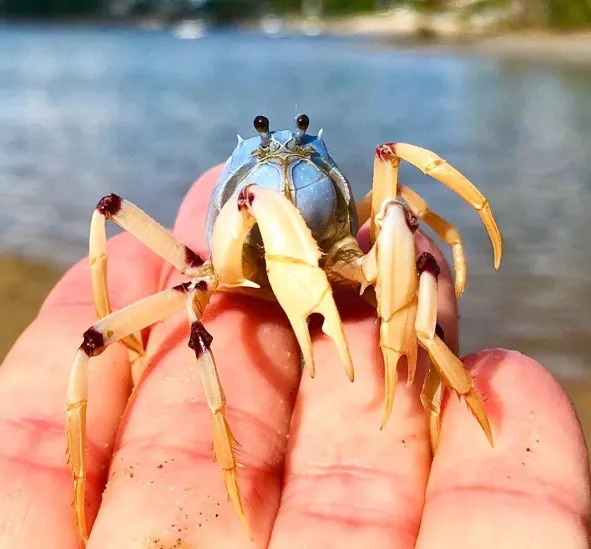 port stephens things to do this weekend