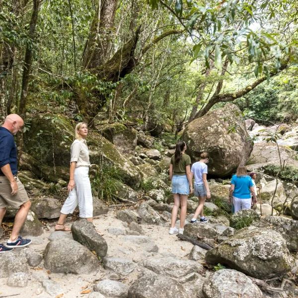 private single 3 day daintree tour