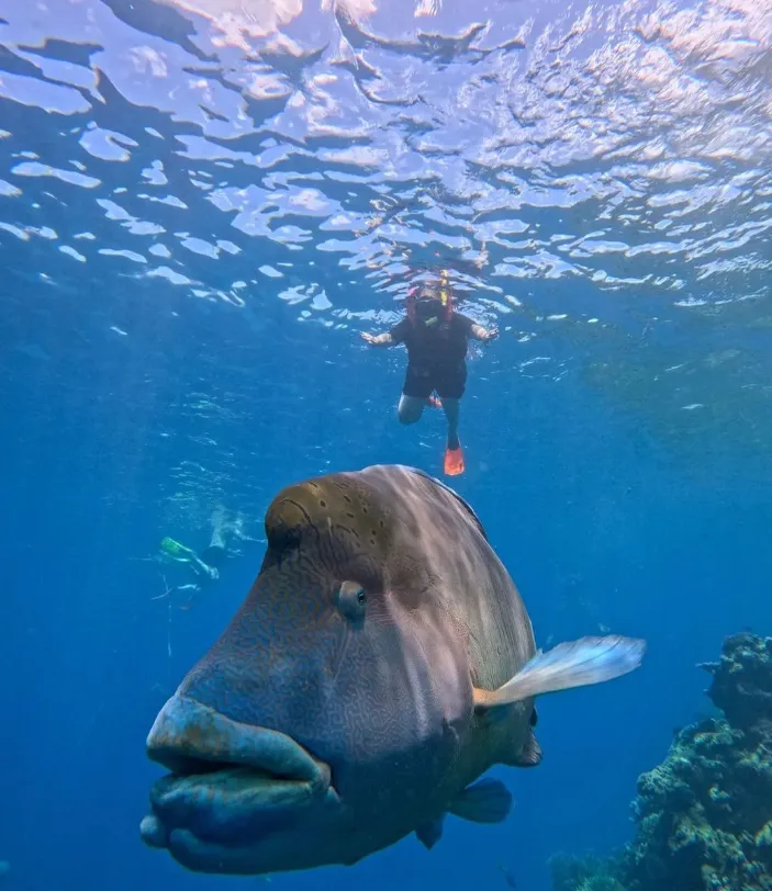 queensland attraction