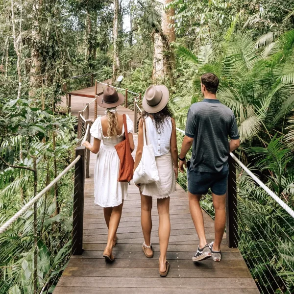 queensland comfort tours australia