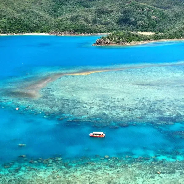 queensland rainforest & reef combo