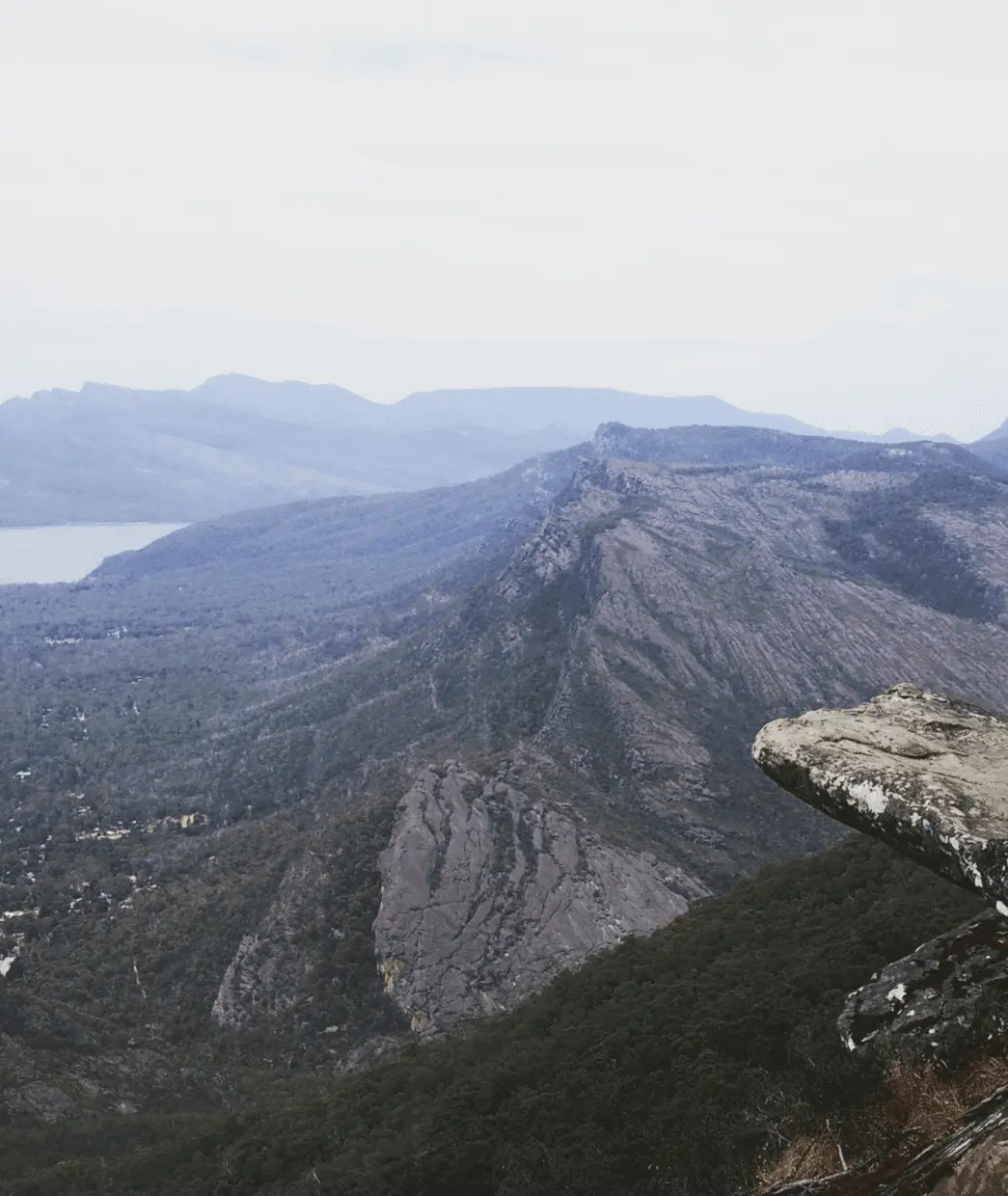 reeds lookout