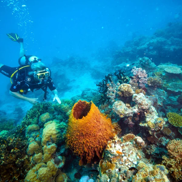 reef and rainforest small group tour