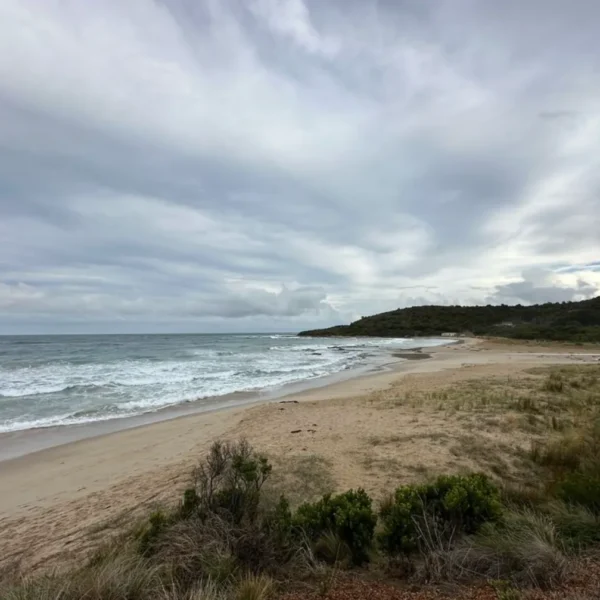 reverse trips great ocean road