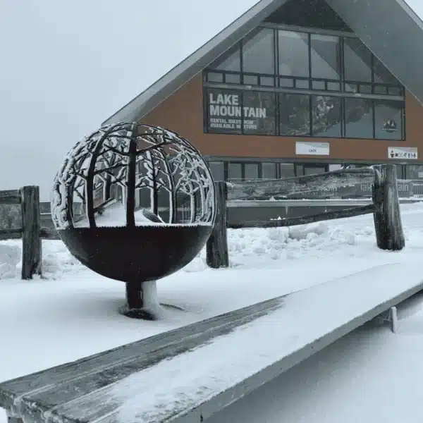 snow tours melbourne