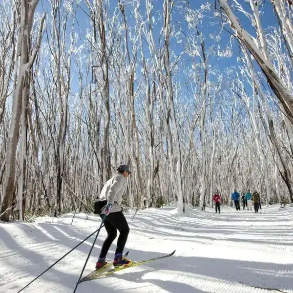 melbourne ski trips