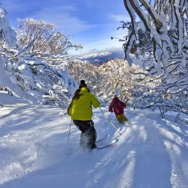 snowy mountains day tours