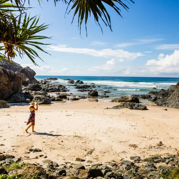 sydney to brisbane bus tours