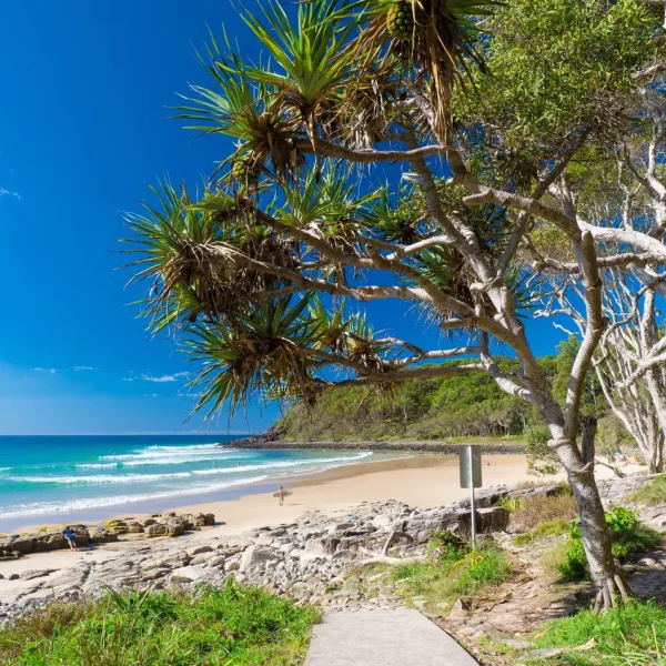 sydney to brisbane tour package australia