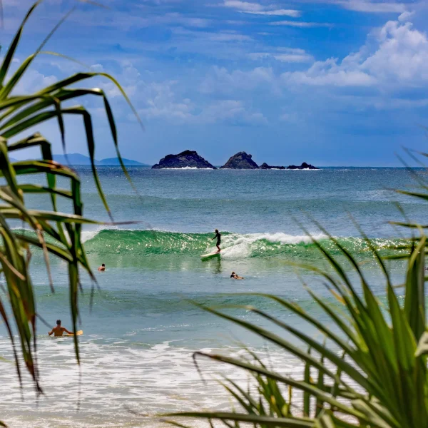 sydney to cairns backpacker tours