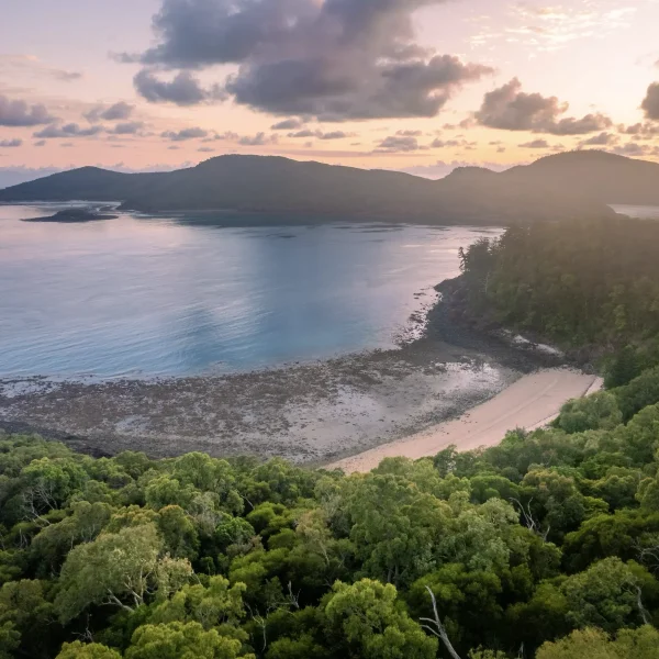 sydney to cairns travel trip